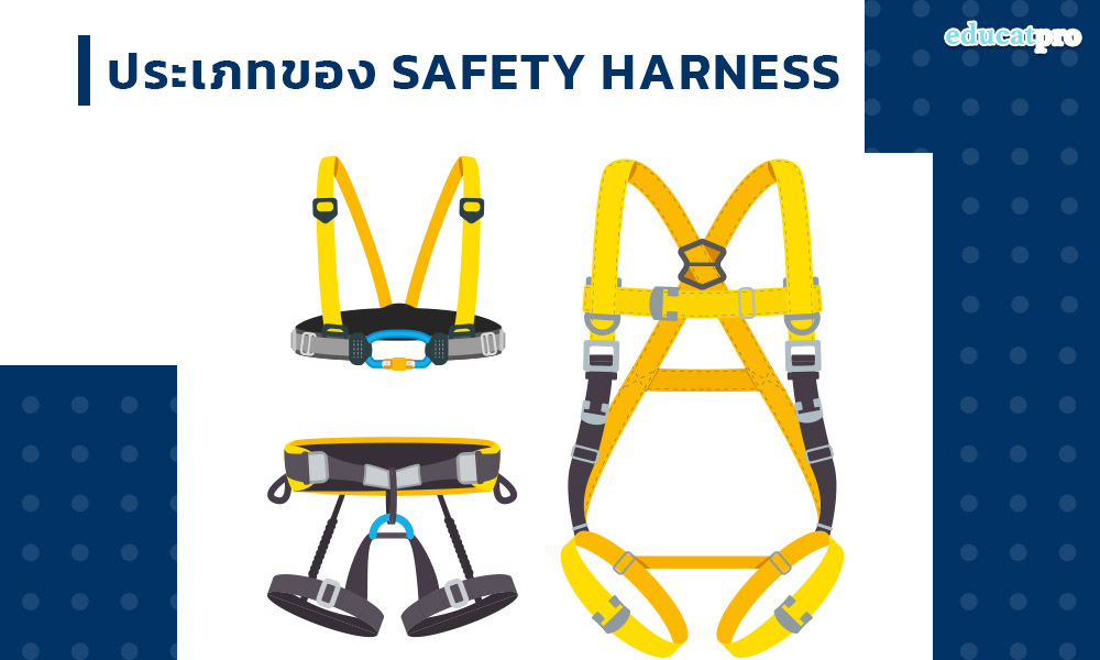 ประเภทของ-Safety-Harness